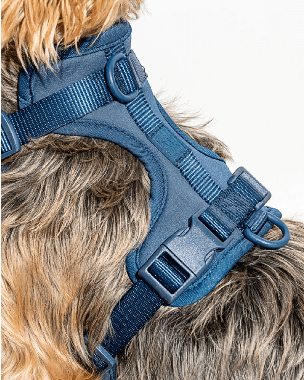 Cushioned Dog Harness Navy - Sir Dogwood