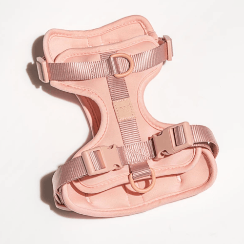 Cushioned Dog Harness Blush - Sir Dogwood