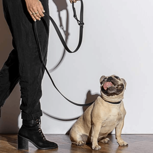 Durable Dog Leash Black - Sir Dogwood