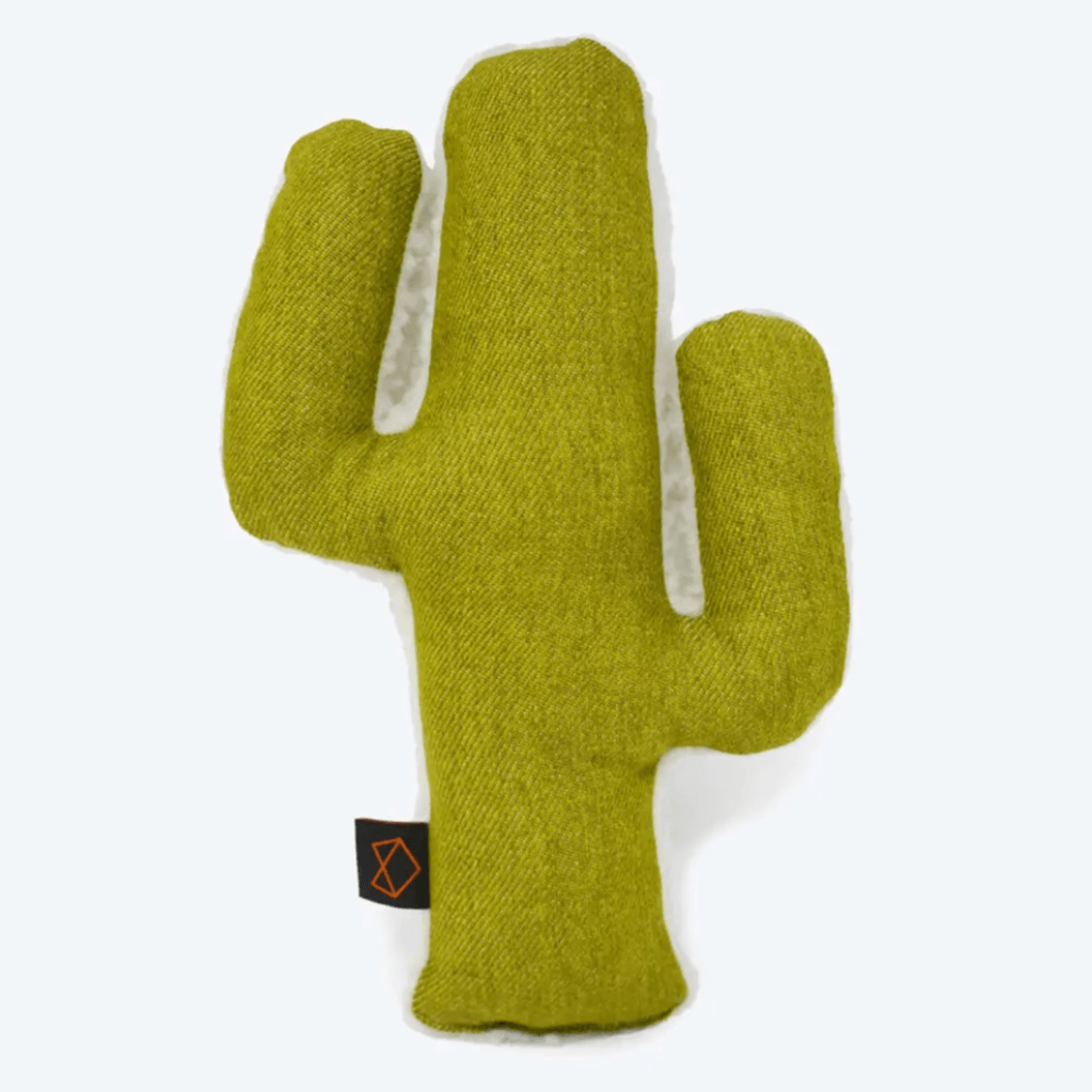 Mint Cactus Toy - Sir Dogwood