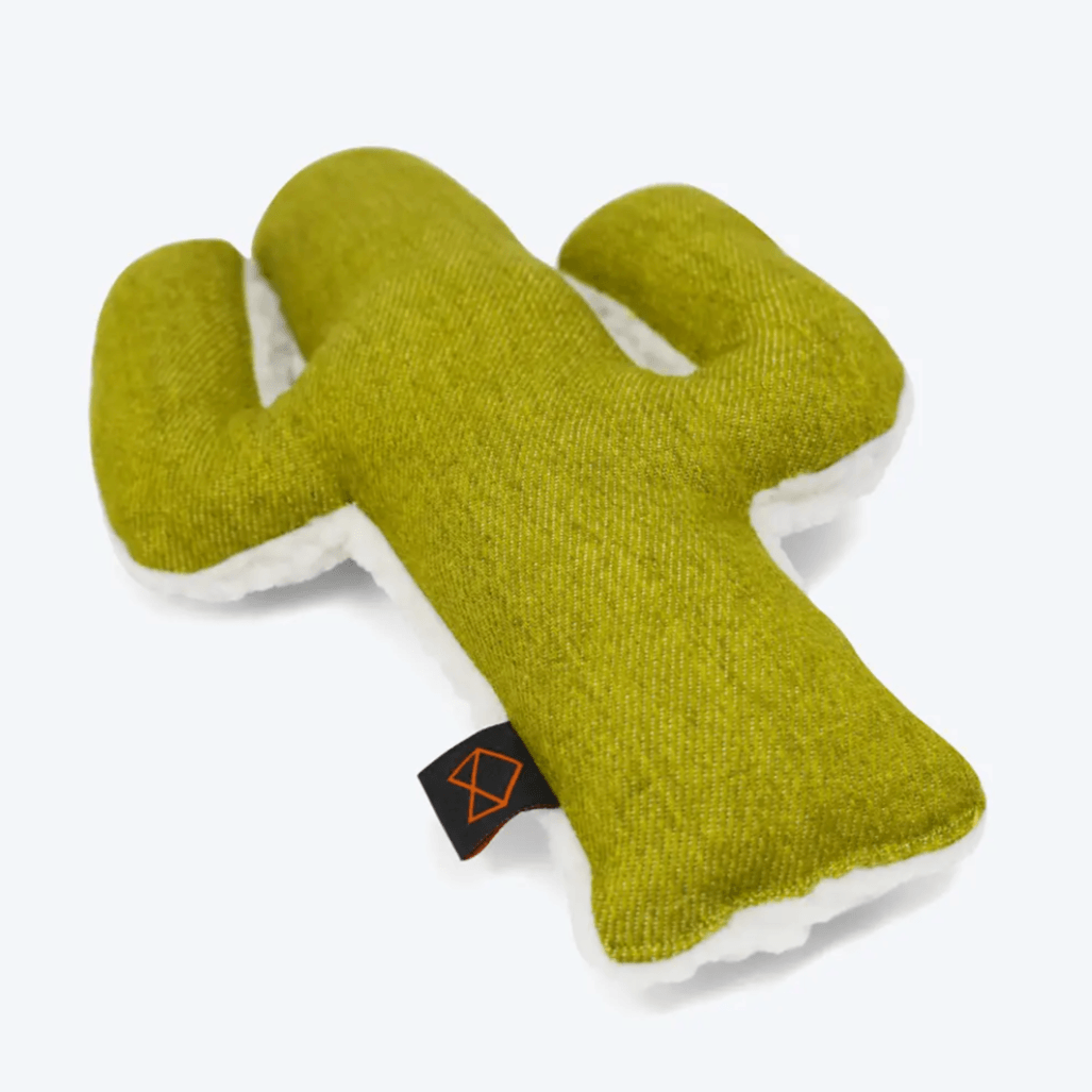 Mint Cactus Toy - Sir Dogwood